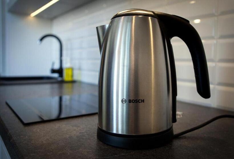 דירת חדר דלוקס, Cracow Riverside Apart