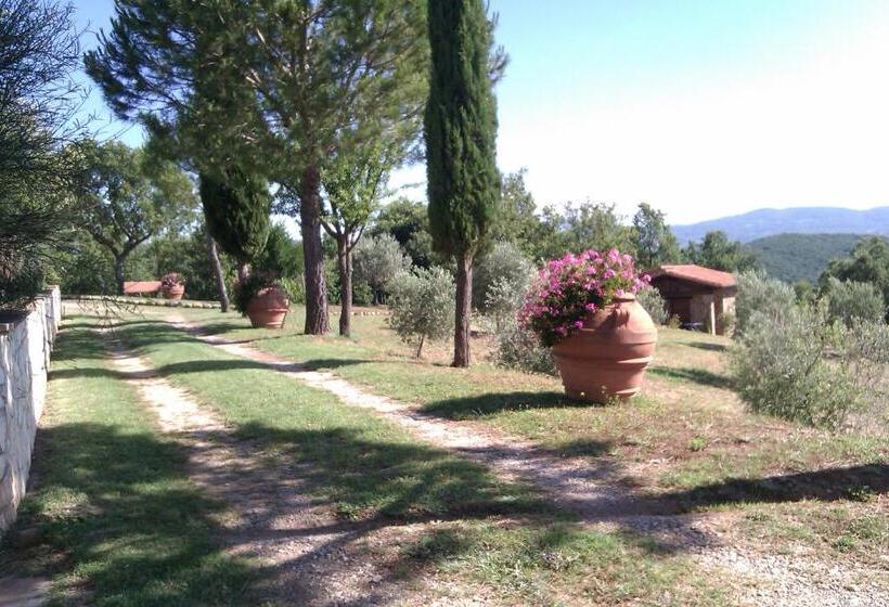 کلبه ییلاقی سوپریور یک خوابه, Agriturismo Podere San Lorenzo 1866