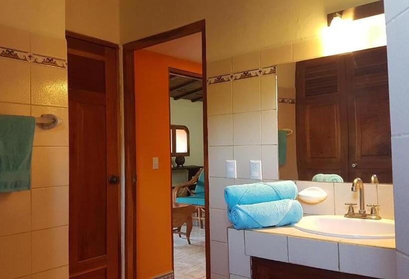 آپارتمان 1 خوابه با تراس, Casa Calala