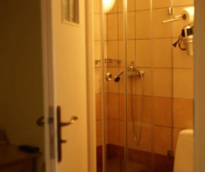 Standard Yhden Hengen Huone, Willa Pod Banderą
