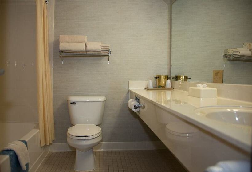 غرفة قياسية, All Seasons Resort