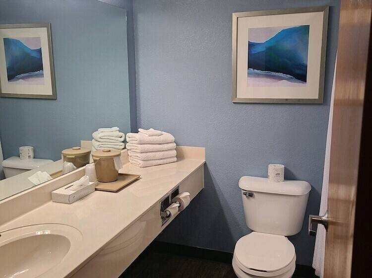 غرفة قياسية, All Seasons Resort