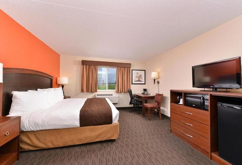 غرفة قياسية سرير كينج, Americinn By Wyndham St Cloud Mn I 94
