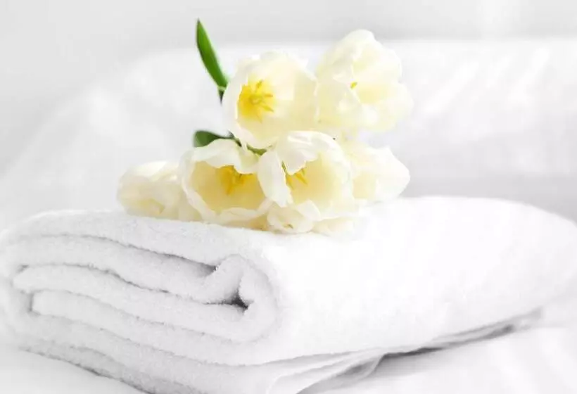 اتاق استاندارد با تخت بزرگ, Anchorage Inn Lakeport