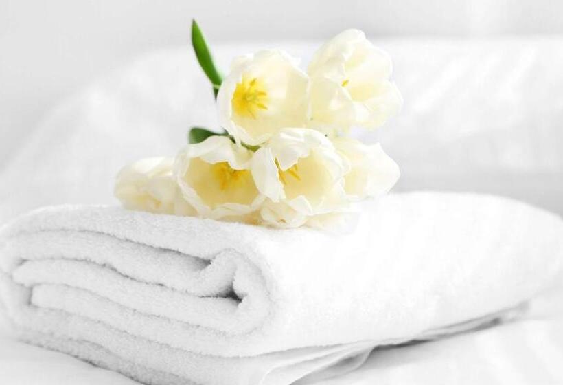 4인용 스탠다드 룸, Anchorage Inn Lakeport