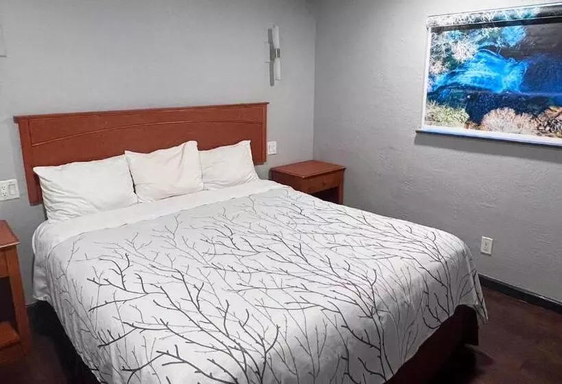 سوئیت با تخت بزرگ, Anchorage Inn Lakeport