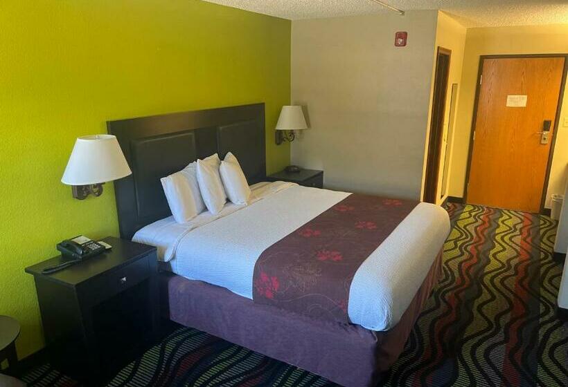 キングサイズベッドのスタンダードルーム, Apple Tree Inn