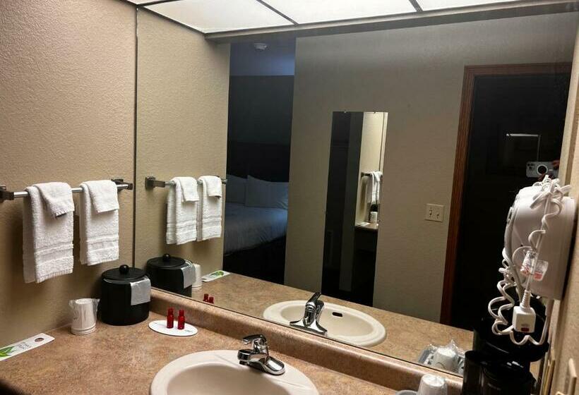 キングサイズベッドのスタンダードルーム, Apple Tree Inn