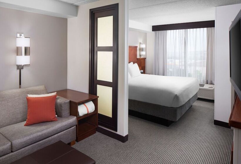 Номер Стандарт Двуспальная Кровать, Hyatt Place Austin Arboretum Domain Area