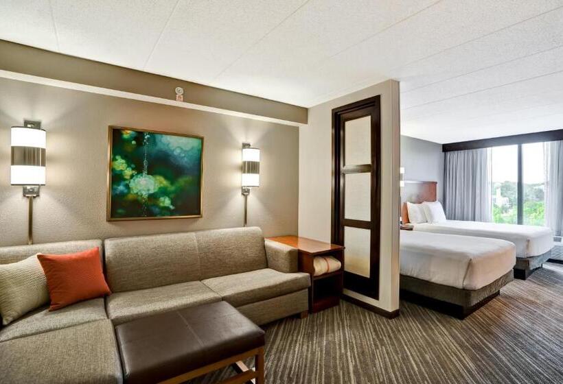 Номер Стандарт 2 Двуспальные Кровати, Hyatt Place Baltimore/bwi Airport