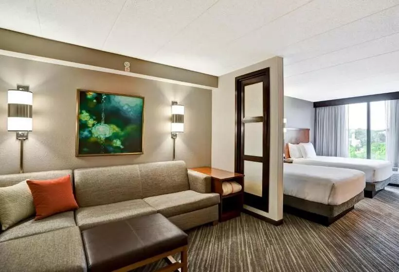اتاق استاندارد با 2 تخت دوبل, Hyatt Place Baltimore/bwi Airport
