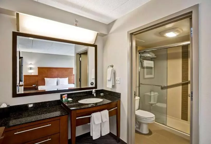 اتاق استاندارد با 2 تخت دوبل, Hyatt Place Baltimore/bwi Airport