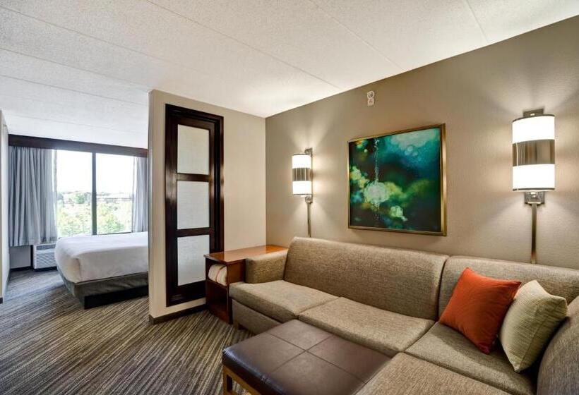 Стандартный Номер Кровать Кинг, Hyatt Place Baltimore/bwi Airport