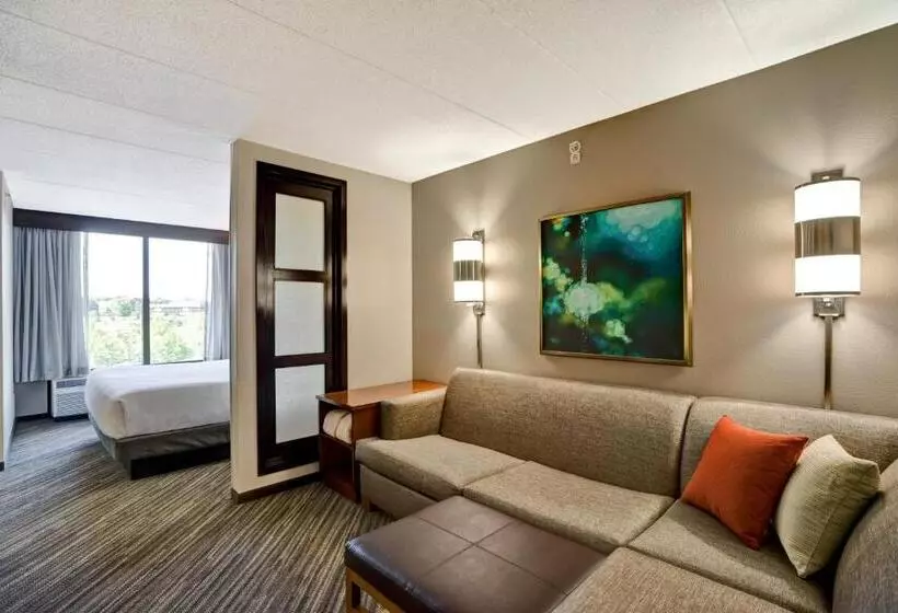 اتاق استاندارد با تخت بزرگ, Hyatt Place Baltimore/bwi Airport