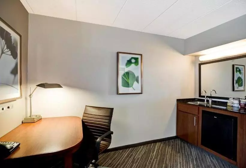اتاق استاندارد با تخت بزرگ, Hyatt Place Baltimore/bwi Airport