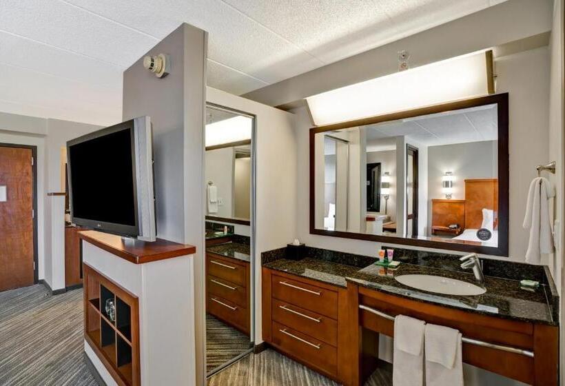 キングサイズベッドのスタンダードルーム, Hyatt Place Baltimore/bwi Airport