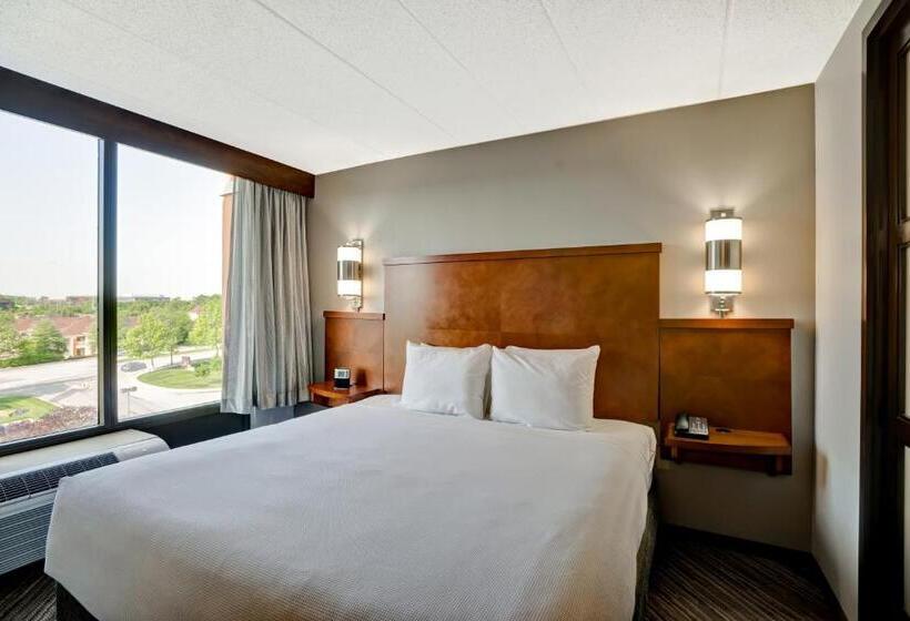 キングサイズベッドのスタンダードルーム, Hyatt Place Baltimore/bwi Airport