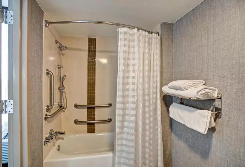 اتاق استاندارد با تخت بزرگ برای معلولان, Hyatt Place Baltimore/bwi Airport