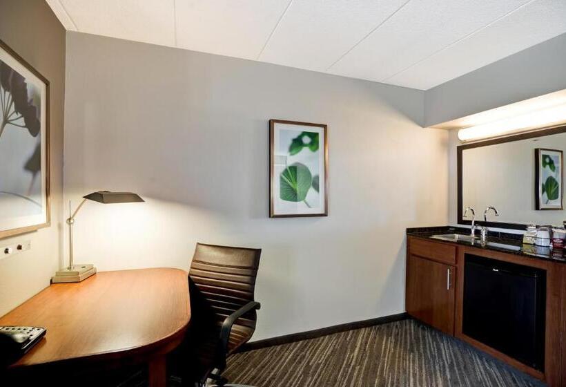 身障者適用キングサイズベッドルーム, Hyatt Place Baltimore/bwi Airport