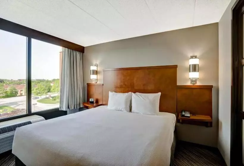 اتاق استاندارد با تخت بزرگ برای معلولان, Hyatt Place Baltimore/bwi Airport