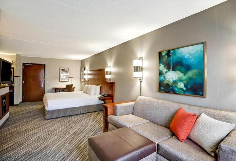 身障者適用キングサイズベッドルーム, Hyatt Place Baltimore/bwi Airport