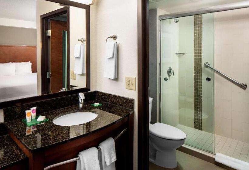 Номер Стандарт, Hyatt Place Roanoke Airport / Valley View Mall