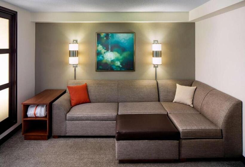 غرفة قياسية سرير كينج, Hyatt Place Roanoke Airport / Valley View Mall