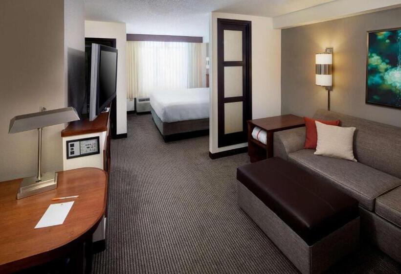 غرفة قياسية سرير كينج, Hyatt Place Roanoke Airport / Valley View Mall