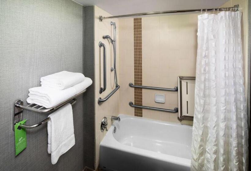 Номер Стандарт Кровать Кинг Адаптированный для Инвалидов, Hyatt Place Roanoke Airport / Valley View Mall