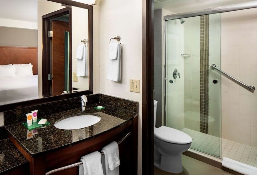 Номер Стандарт, Hyatt Place Roanoke Airport / Valley View Mall
