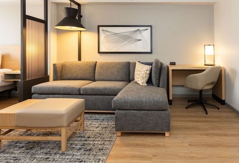 Номер Стандарт, Hyatt Place Roanoke Airport / Valley View Mall