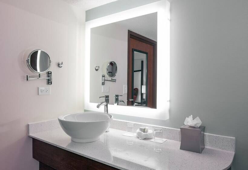Номер Стандарт 2 Двуспальные Кровати, Indigo Chicagovernon Hills, An Ihg