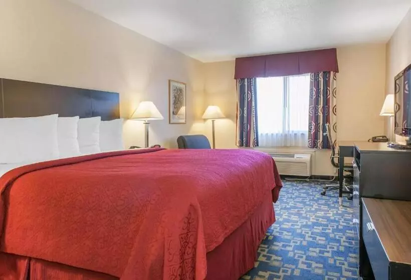 キングサイズベッドのスタンダードルーム, Quality Inn