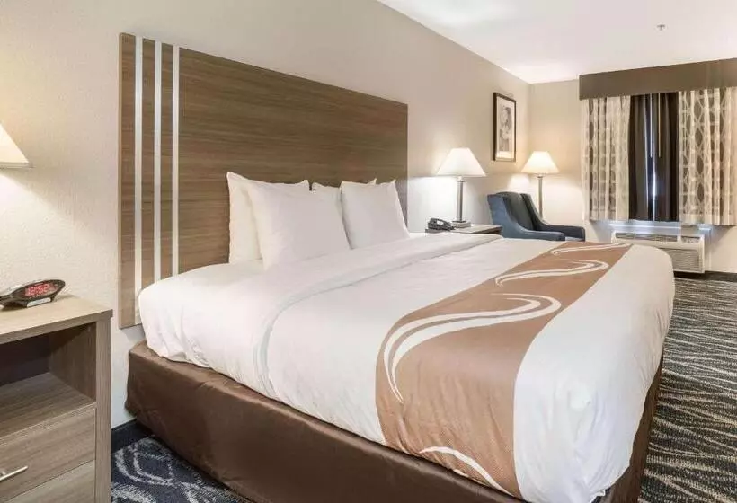 キングサイズベッドのスイートルーム, Quality Inn