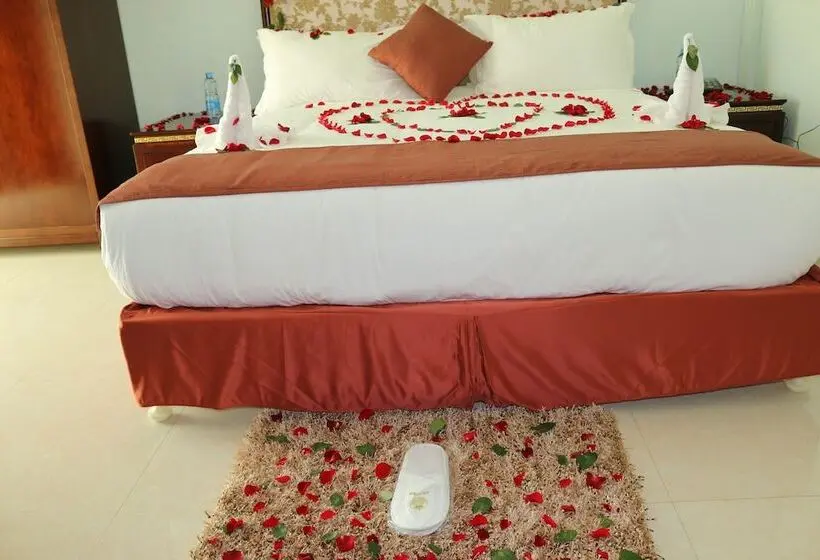 اتاق استاندارد یک نفره, Solyana