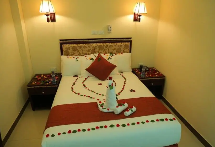 اتاق استاندارد یک نفره, Solyana