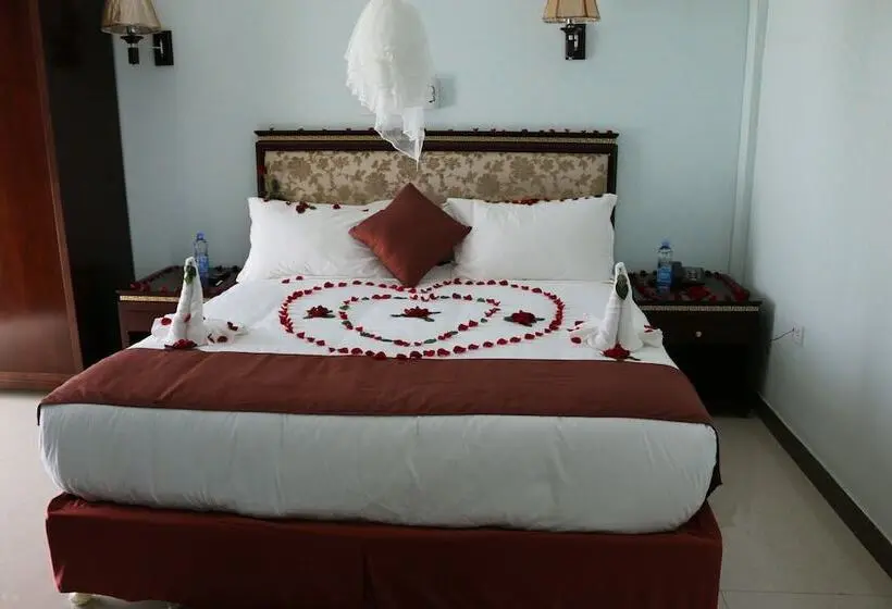 اتاق لوکس, Solyana