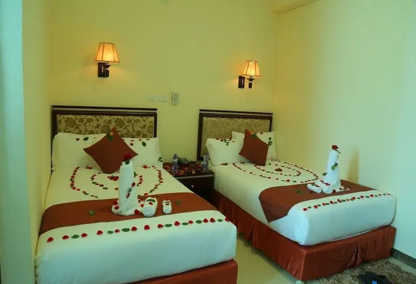 اتاق استاندارد, Solyana