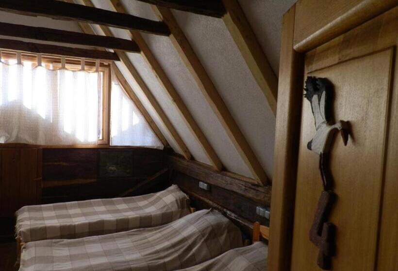 패밀리 룸, Tradicije Cigoc