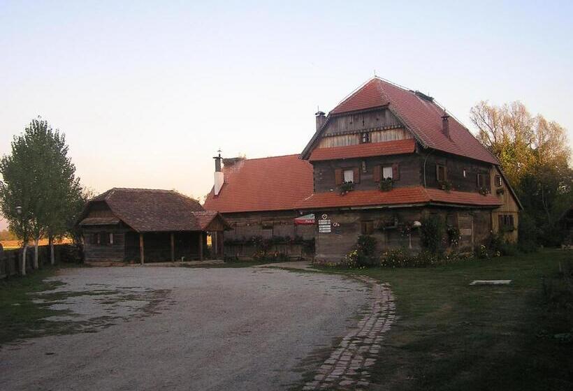 침실 1개 아파트, Tradicije Cigoc