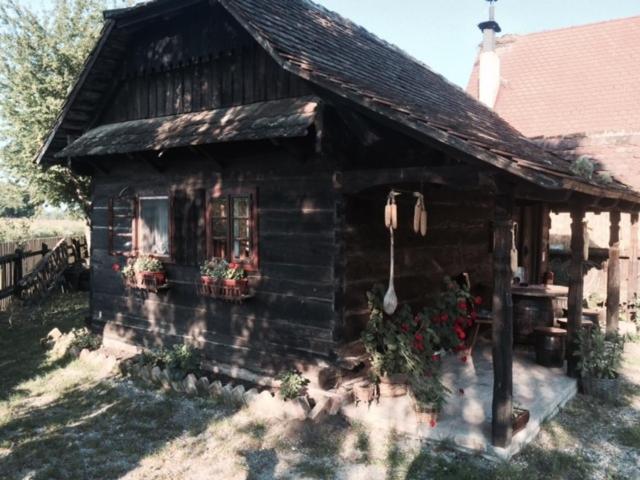 침실 1개 아파트, Tradicije Cigoc