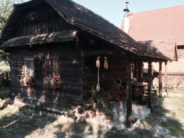 침실 1개 아파트, Tradicije Cigoc