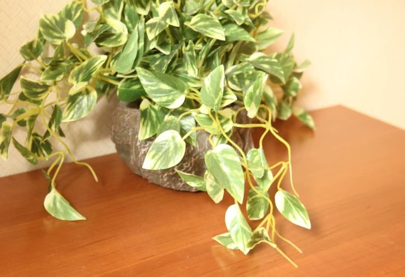 家庭间, Seaside Pension Petit Shirahama