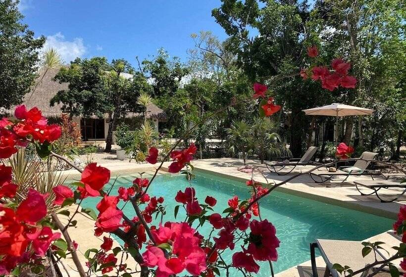 بانگلوی لوکس, Maya Eco Village