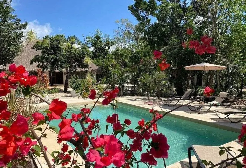 デラックスバンガロー, Maya Eco Village
