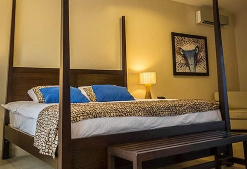 استودیوی پریمیوم, Palo Santo Galapagos