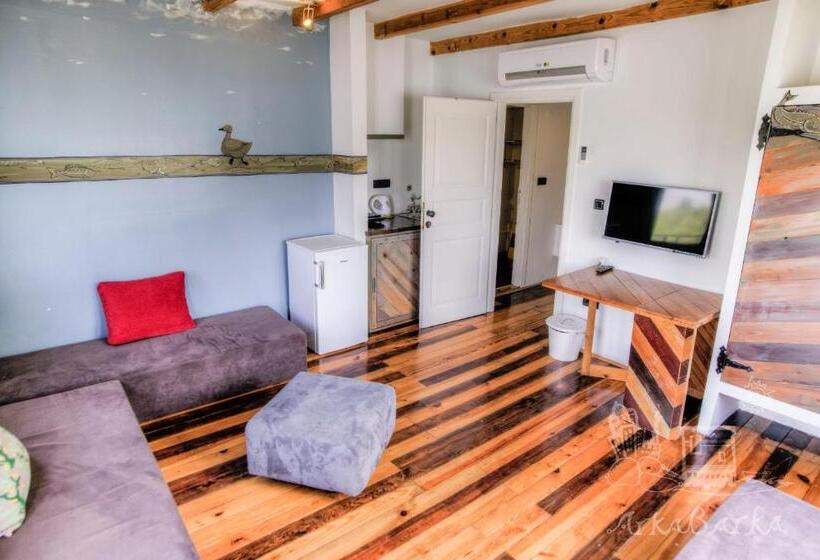 带1个卧室的带阳台的公寓, Arkabarka 2  Floating Dream Rooms And Apartments