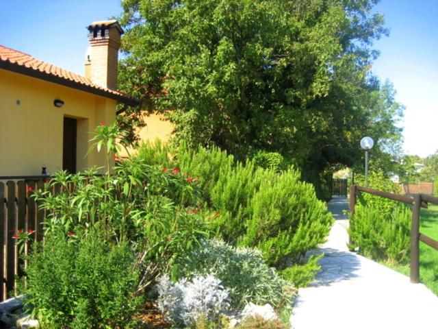 إستوديو قياسى مزودة بتراس, Agriturismo Radovic