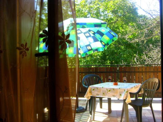 Standard Studio with Terrace, Agriturismo Radovic