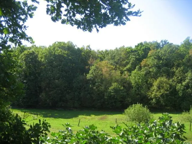 اتاق استاندارد, Agriturismo Radovic